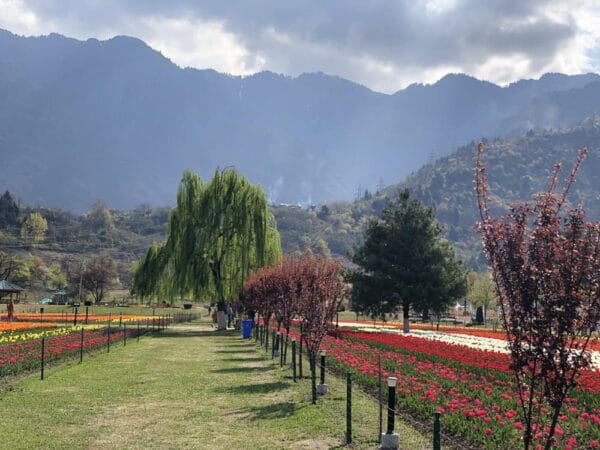 Srinagar