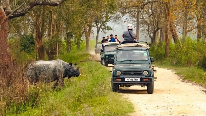 6N/7D Kaziranga, Nameri & Manas National Park